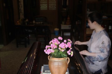 弹古琴的美女与鲜花