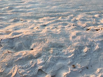 山东青岛胶州湾海冰