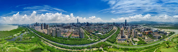 从红树林看深圳全景