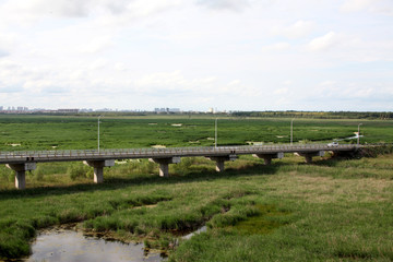 湿地高架桥