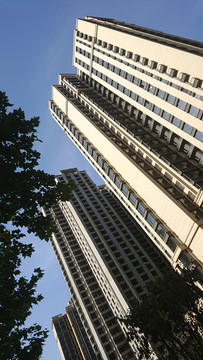 高楼大厦