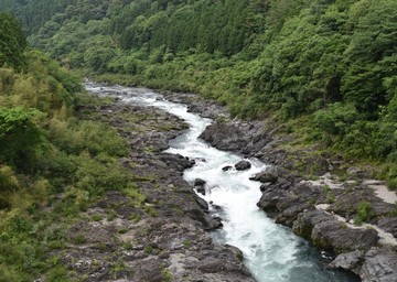 森林溪流