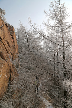 山东青岛冬季崂山巨峰风光