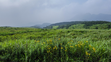 山顶风景