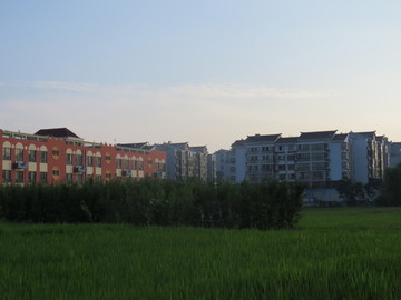 新农村