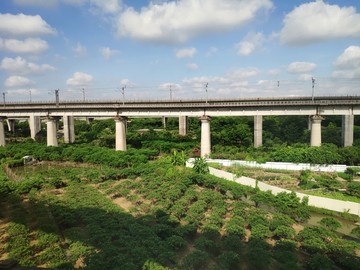 蓝天白云下的铁路高架桥