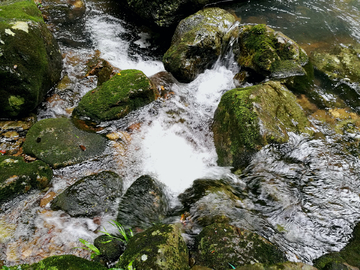 青山绿水