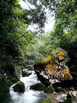 青山绿水