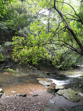 青山绿水