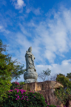 厦门植物园