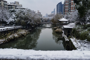 美丽的雪景