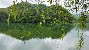 大龙湾