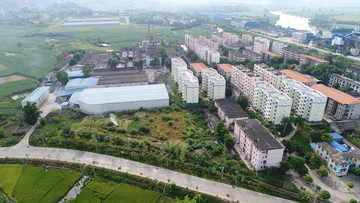 宁明华侨农场