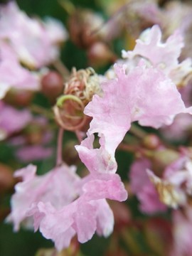 西安桃花潭公园