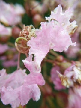 西安桃花潭公园