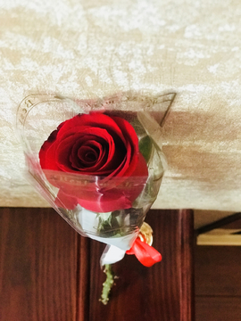 玫瑰花 花卉花瓣