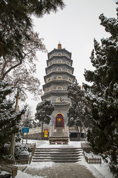 山东青岛湛山寺植物园雪景