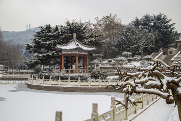 山东青岛湛山寺植物园雪景