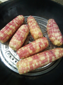 玉米