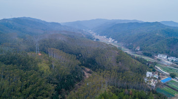 航拍江西赣州丘陵田园森林树木