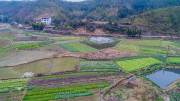 航拍江西赣州农村田园风光