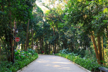 横县横州公园道路