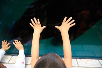 海洋馆儿童看海狮游泳