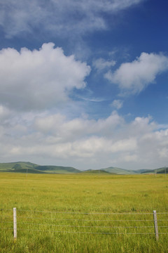 乌兰布统草原牧场