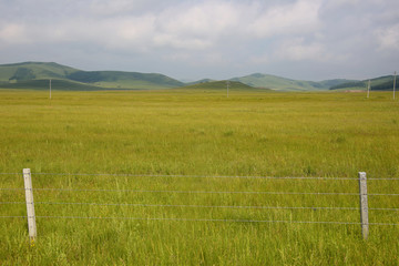 无边的草原牧场