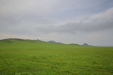 绿色大草原