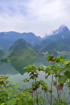 绿水青山