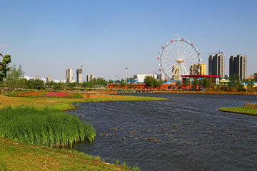 山东临沂莒南鸡龙河生态湿地公园