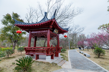 江西赣州赣县湿地公园梅园