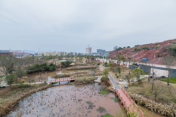 江西赣州赣县湿地公园梅园