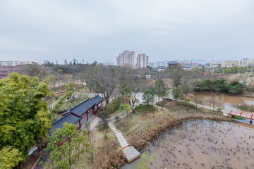 江西赣州赣县湿地公园梅园