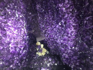紫色晶石