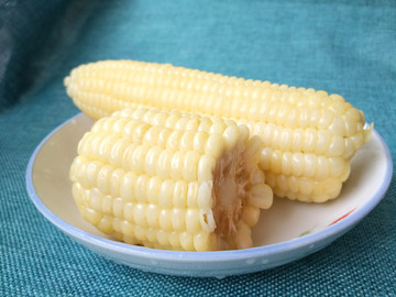 白玉米素材