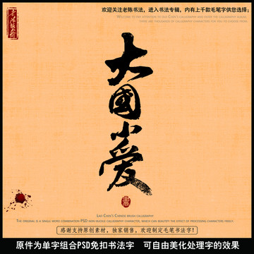 大国小爱