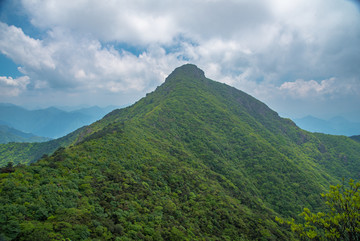 武夷山自然保护区