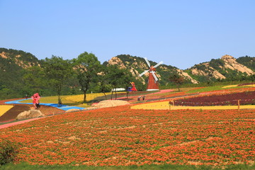 山东青岛西海岸生态观光园