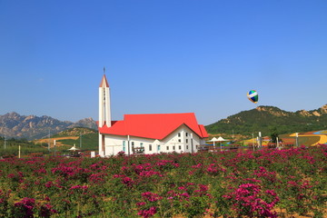 山东青岛西海岸生态观光园