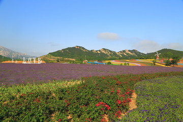 山东青岛西海岸生态观光园