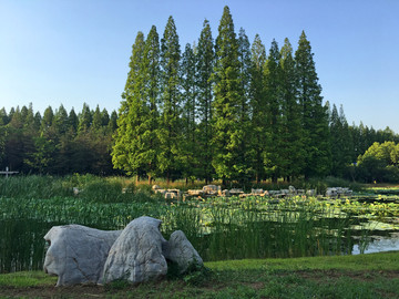 山东青岛市南中山公园