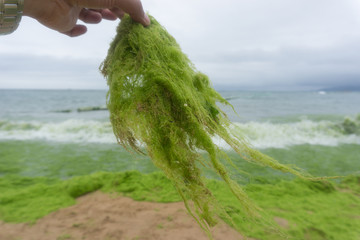青岛第二海水浴场