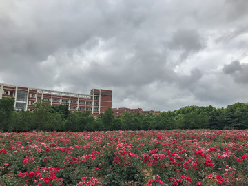 山东科技大学