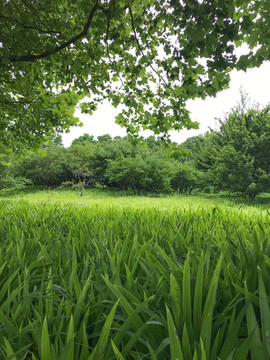 山东科技大学