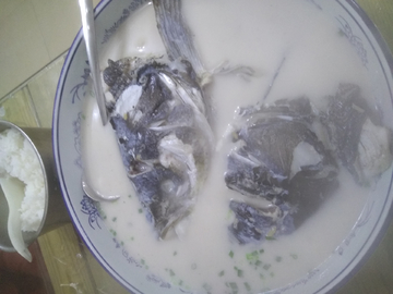 千岛湖鱼头豆腐汤