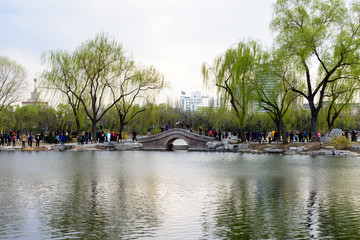 北京玉渊潭公园湖水小桥柳树