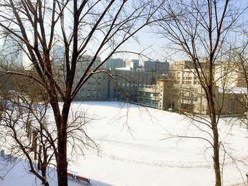 雪后