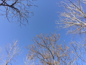 秋高气爽